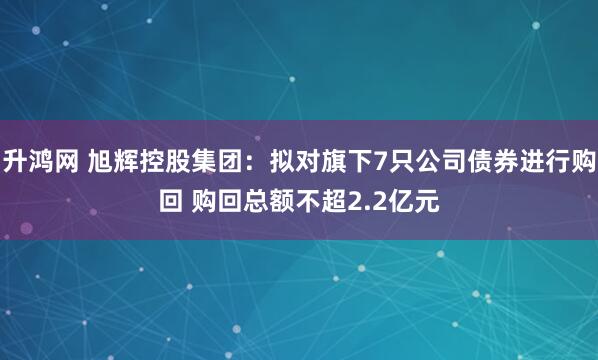 升鸿网 旭辉控股集团:拟对旗下7只公司债券进行购回 购回总额不超2.2亿元