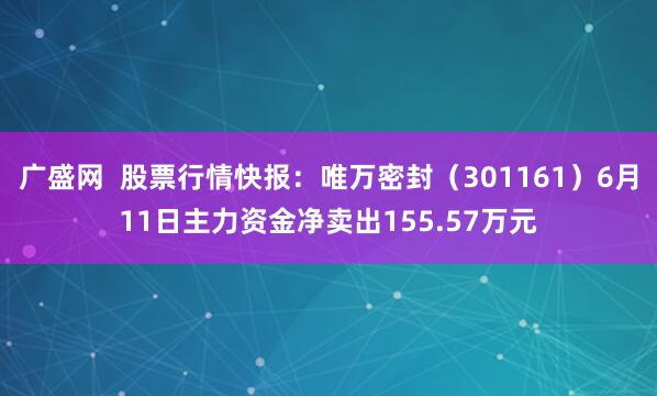 广盛网  股票行情快报：唯万密封（301161）6月11日主力资金净卖出155.57万元