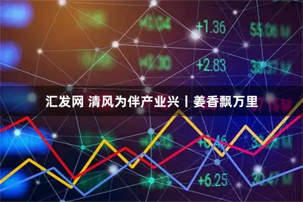 汇发网 清风为伴产业兴丨姜香飘万里